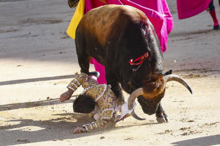 COGIDA DE CAYETANO RIVERA EN LAS VENTAS DURANTE SU PRIMER TORO