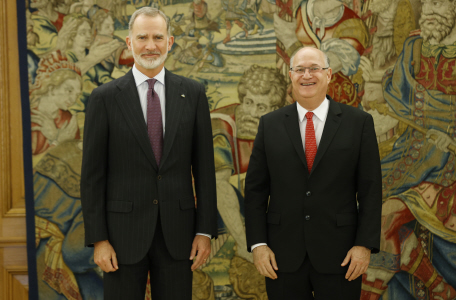 EL REY FELIPE VI RECIBE EN AUDIENCIA A ILAN GOLDFAIN